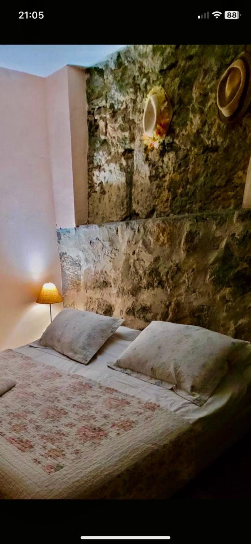 Casa Da Carmen E Do Fernando Hotel Rio de Janeiro Ngoại thất bức ảnh